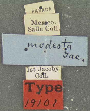 Media type: image; Entomology 19101   Aspect: labels
